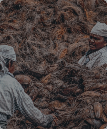 Coconut husk