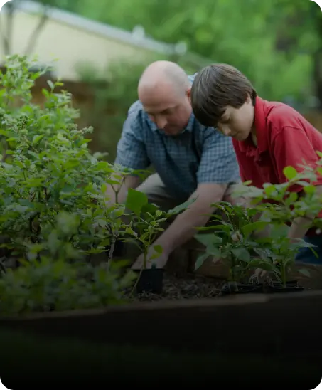 Home Gardening