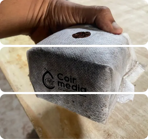coco peat by coir media