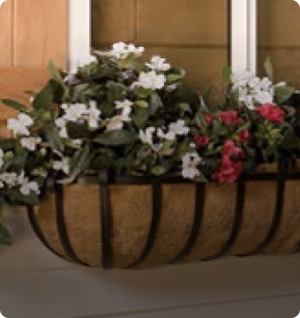Coconut hanging baskets by coir media
