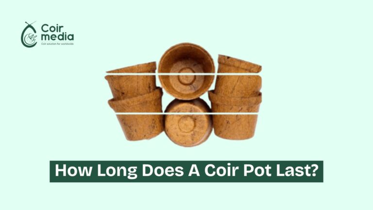 How Long Does A Coir Pot Last