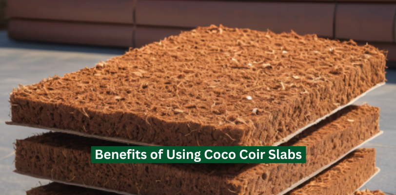 Benefits of Using Coco Coir Slabs