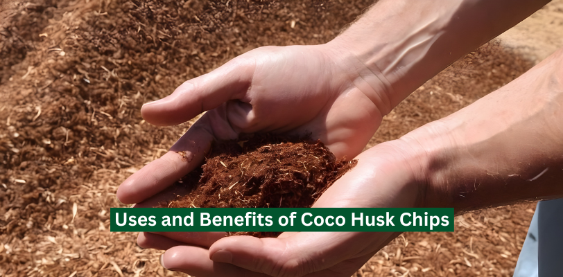 Uses and Benefits of Coco Husk Chips