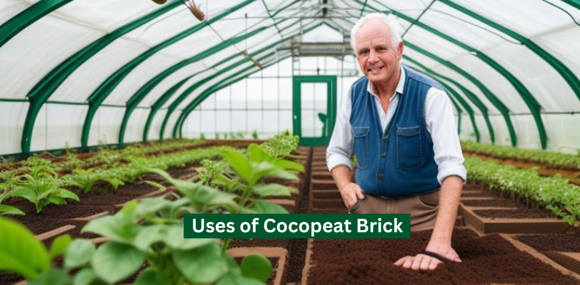 cocopeat brick use