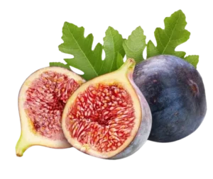 Best Container for Fig Tree