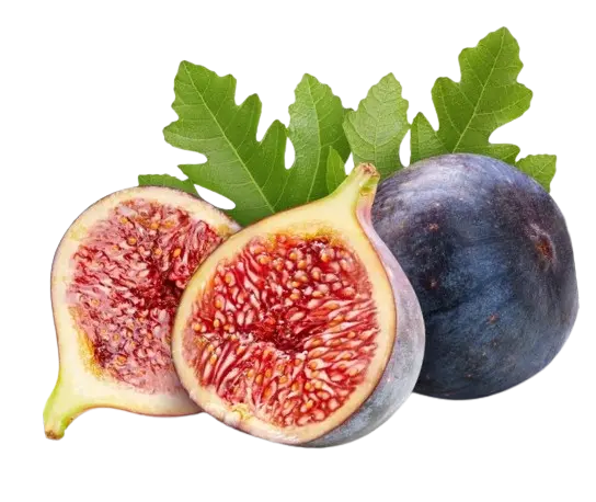 Best Container for Fig Tree