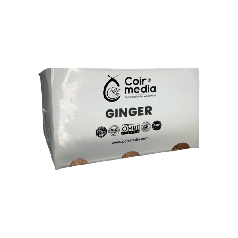 Best Container for Ginger