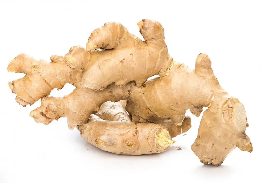 Ginger Farming