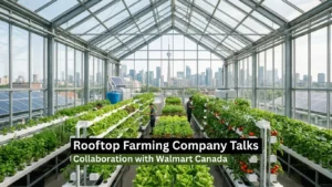 Rooftop Farming Company Talks Collaboration with Walmart Canada