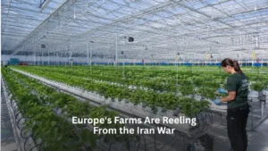 Europe's Farms Are Reeling From the Iran War