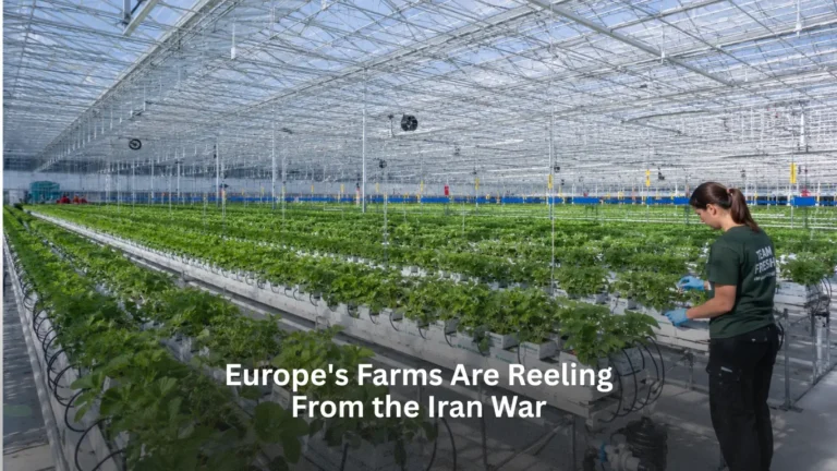 Europe's Farms Are Reeling From the Iran War
