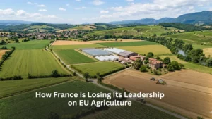 How France is Losing Its Leadership on EU Agriculture