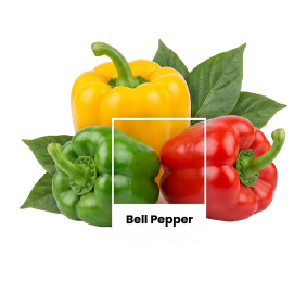ballpeper