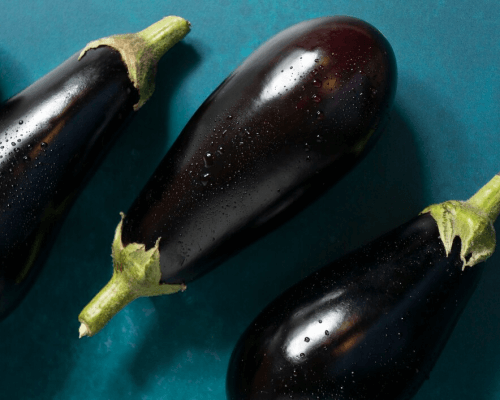 Aubergine Farming