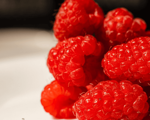 Raspberry Farming